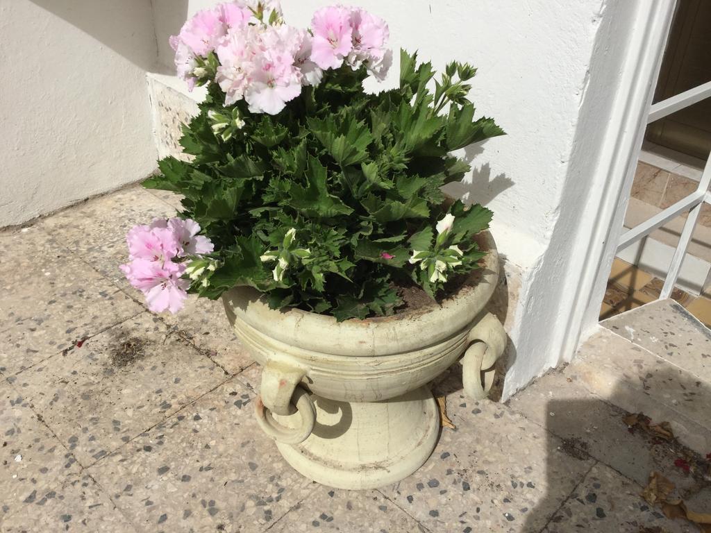 Case Vacanze Le Rose Villa Noto Exterior photo